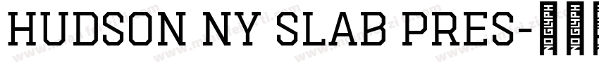 Hudson NY Slab Pres字体转换
